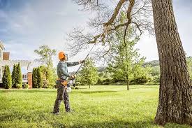 How Our Tree Care Process Works  in  Fiskdale, MA